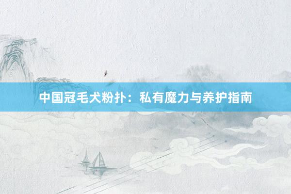中国冠毛犬粉扑：私有魔力与养护指南