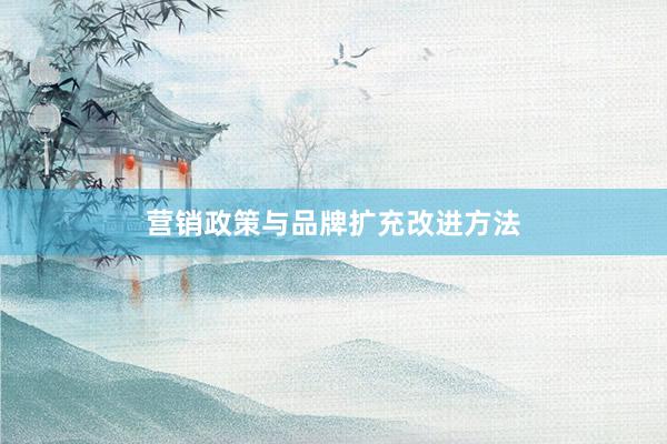 营销政策与品牌扩充改进方法